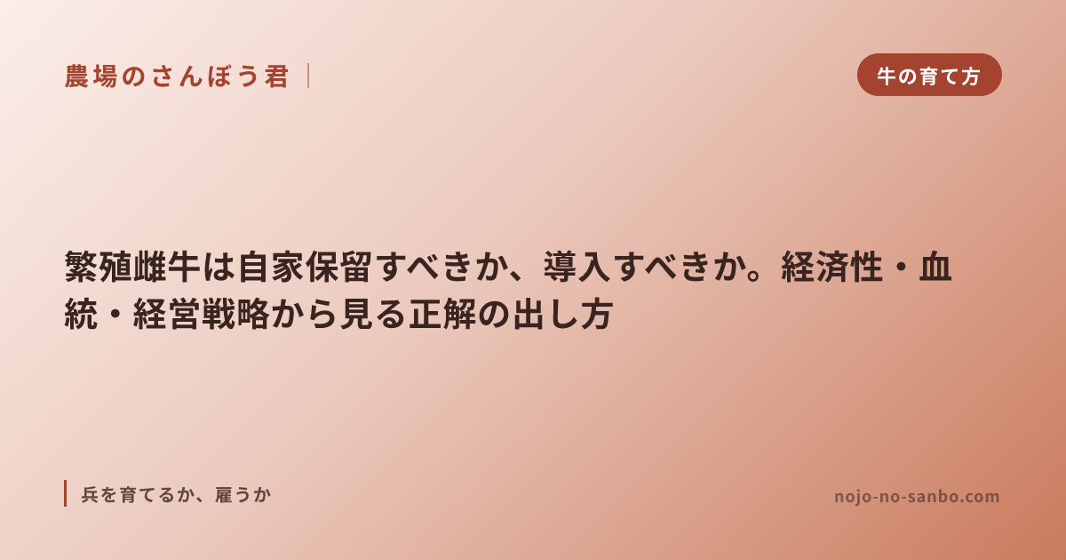 繁殖雌牛は自家保留すべきか、導入すべきか。経済性・血統・経営戦略から見る正解の出し方