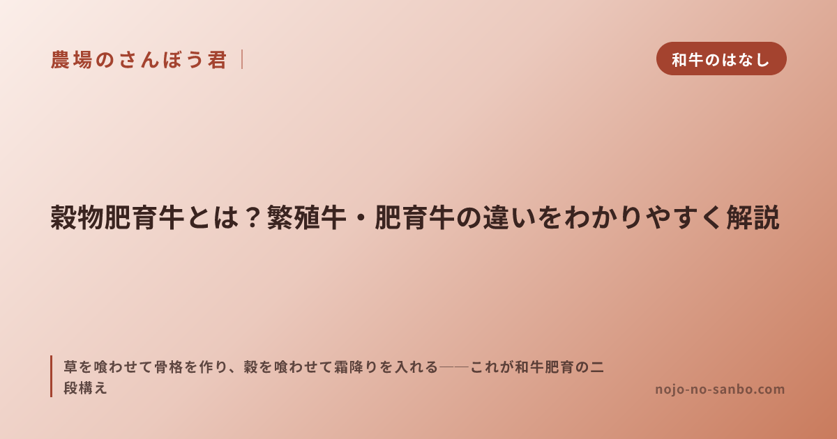穀物肥育牛とは？繁殖牛・肥育牛の違いをわかりやすく解説