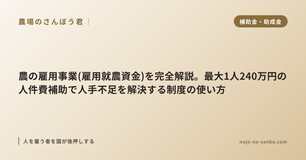 農の雇用事業(雇用就農資金)を完全解説。最大1人240万円の人件費補助で人手不足を解決する制度の使い方