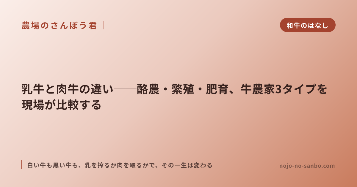 乳牛と肉牛の違い──酪農・繁殖・肥育、牛農家3タイプを現場が比較する