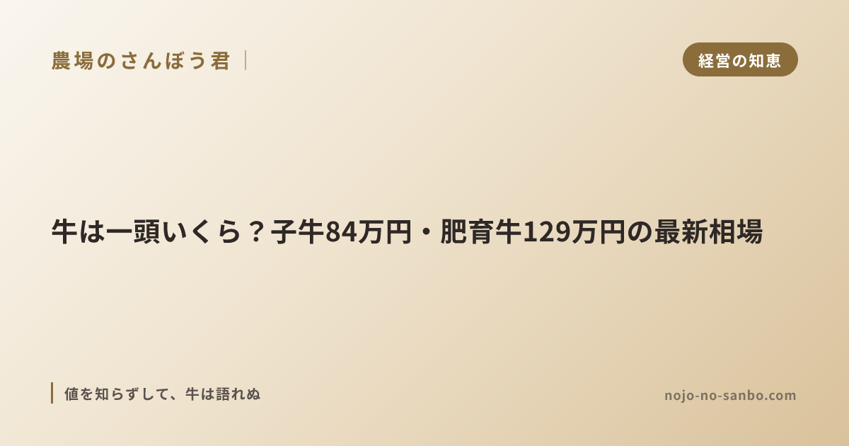 牛は一頭いくら？子牛84万円・肥育牛129万円の最新相場